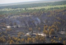 Работники “Семей орманы” обратились к президенту