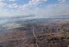 Лесной пожар ликвидировали в "Семей орманы"