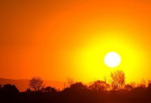 Жару до 43 градусов прогнозируют на Западе Казахстана