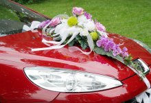 Опасную езду устроил свадебный кортеж в Жамбылской области (ВИДЕО)