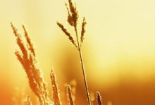 По всему Казахстану объявлено штормовое предупреждение