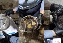 Более 200 кустов мака изъяли у жителя Костанайской области