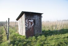 Двоих детей вытащили из уличного туалета спасатели в Алматинской области