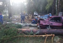 Девять человек погибли из-за ураганного ветра в России