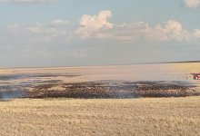 Удар молнии спровоцировал степной пожар в Карагандинской области