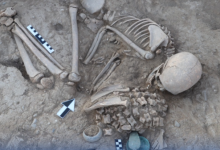 Археологи из Казахстана и Британии совместно исследовали древнее захоронение в ВКО