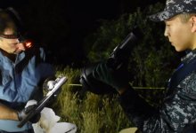 Схрон с ружьями и боеприпасами обнаружили на окраине Караганды