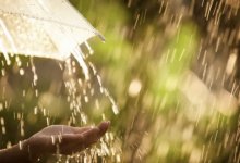 Сильные дожди, град и гроза ожидаются в Казахстане