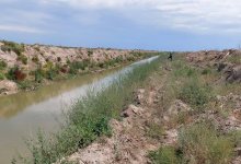 Тело пропавшей семилетней девочки нашли в водоеме Кызылординской области