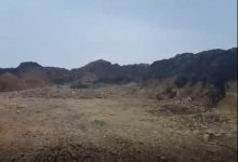 Информация о массовом отравлении лошадей в Абайской области – фейк