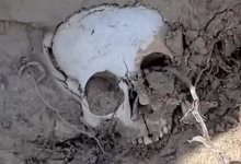 Человеческий череп обнаружили в степи в Мангистауской области