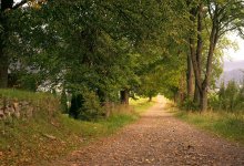 Подрядчику заплатили за несуществующую дорогу в Карагандинской области