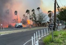 Похоже на апокалипсис – в океане спасались люди от лесных пожаров на Гавайях