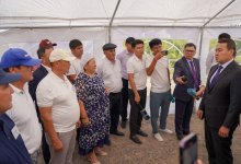 Потери из-за засухи возместят аграриям в Жамбылской области