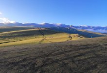 Грибников спасли в Алматинской области