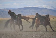 Спортсмен попал в реанимацию после игры в кокпар в Баянауле