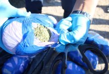 Актюбинца с сумкой, набитой марихуаной, задержали на трассе в Кызылорде