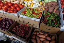 Цены на овощи и мясо могут повыситься из-за засухи в Жамбылской области