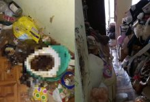 Жили среди экскрементов: детей-маугли спасли от пьющей матери в Алматы