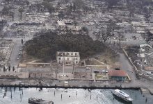 Более 100 человек погибли в лесном пожаре на Гавайях