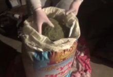 100 кг наркотиков нашли полицейские в гараже актюбинца