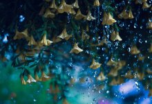 Дожди ожидаются на большей части Казахстана