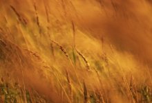 Штормовое предупреждение объявили в 14 областях Казахстана