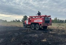 Пожары в Наурзумском заповеднике почти ликвидировали