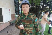 Слепого котенка нашли под облицовкой акимата Усть-Каменогорска