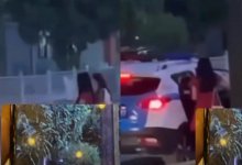 Девушки сели в авто к полицейским в Шымкенте: в ДП дали разъяснение