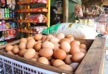 Как изменились цены на продукты за неделю в Казахстане