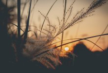 Какая погода ожидает казахстанцев в выходные