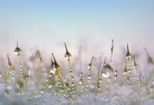 Дождь, мокрый снег: какая погода ожидает казахстанцев