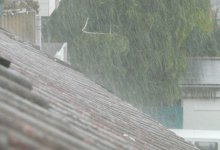 Непрерывный дождь едва не затопил дома в Туркестанской области