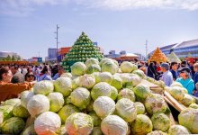 "Это таджикские фермеры раздавали": в акимате Астаны объяснили скандальное видео