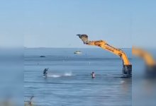Мужчина катал на экскаваторе людей в Каспийском море (ВИДЕО)