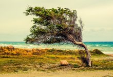 Жителей каких областей Казахстана предупредили о непогоде