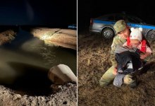 Трехлетнюю девочку обнаружили ночью в степи в ЗКО