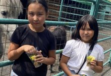 Пропавших сестер удалось найти в Семее