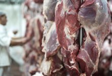 Заражение сибирской язвой в Акмолинской области: в Минсельхозе ответили на слухи