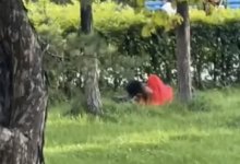 "Кололся средь бела дня": мужчину с наркотиками разыскивают в области Абай