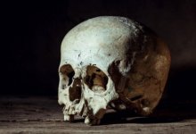 Человеческий череп вне могилы обнаружили на карагандинском кладбище