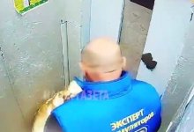 Мужчина избил собаку в лифте многоэтажки в Костанае (ВИДЕО)