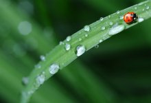 Дожди продолжатся в большинстве регионов Казахстана