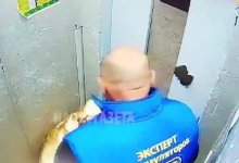 Избил собаку в лифте: костанаец выплатит два штрафа