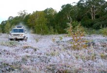 Заморозки и туман: штормовое предупреждение объявили по Казахстану