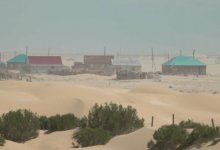 Нет воды и негде пасти скот: песком может засыпать шесть сел в Атырауской области