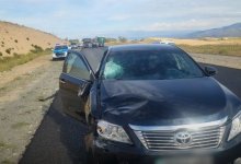 Наносил разметку: работника дорожной службы насмерть сбили в Жетысу