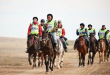 "Ұлы дала жорығы": команды ВКО и Шымкента выбыли из марафона