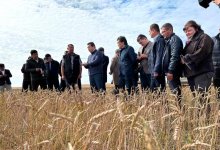 Новый глава Минсельхоза посетил область с самым низким показателем урожая
